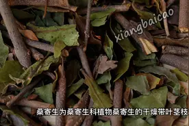 桑寄生的功效与作用视频封面