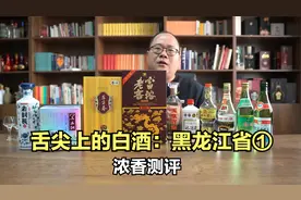 舌尖上的白酒：黑龙江省①浓香老村长、黑土地、东方春、富裕老窖视频封面