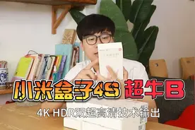 小伙民宿采购10款小米4s盒子，智障机秒变智能语音投屏机，超牛B