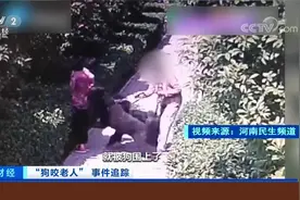 “狗咬老人”事件 犬主人拒不承认 媒体协助讨说法无果视频封面
