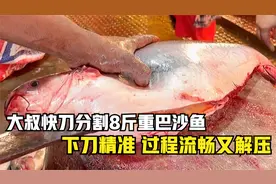 客人花100多买了一条巴沙鱼，足有8斤重，大叔快刀切割，过程流畅视频封面