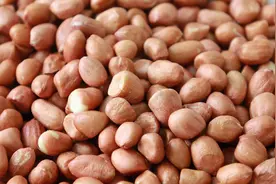 花生容易长虫和变质，干货店老板教我一招，花生放一年都不坏