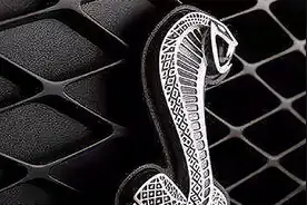 5个“动物”标志的汽车，看到请自觉远离，最后一个谁都惹不起