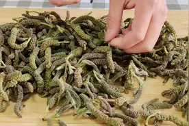 毛毛虫蒸野菜，我家每年这时候都会储存一些，真的是好吃又营养视频封面