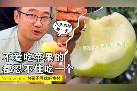 洛川阿克苏应该没有山东的这个品种苹果吧，走进原产地青岛上柴村