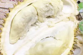 买榴莲注意事项，千万别买到死包榴莲，教你如何识死包!