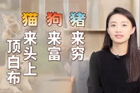 “猪来穷，狗来富，猫来头上顶白布”，动物进家啥说法？靠谱不？