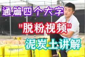 通篇四个大字：“脱粉视频”。泥炭土来源以及泥炭质量讲解。视频封面