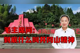 毛主席问：到底什么叫井冈山精神？大家都忘了重要的一条视频封面