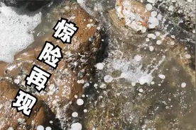 涨潮时赶海有如此好运，窜出来一条粗壮大货，异常凶猛能咬断手指视频封面