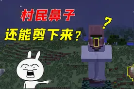 我的世界：村民鼻子还能剪下来？村长来测试，结局太意外