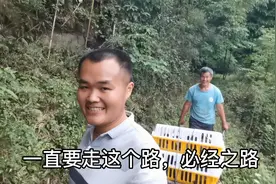 山里养鸡不通路，看看小鸡是怎样运输的，农民太不容易了视频封面