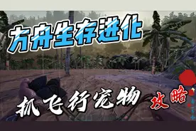 方舟生存进化抓飞行宠物无齿翼龙攻略，前期飞行最快的一头龙