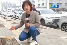 长春一处人行道上大树被砍，断桩却无人清理，市民：存在安全隐患视频封面