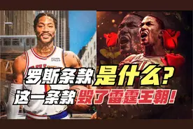 罗斯条款是什么？罗斯为什么不是第一受益者？这条款毁了雷霆王朝视频封面