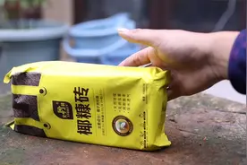 养花用什么配土？园艺师教你，用椰糠砖，一块能泡发出10升土