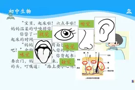 海韵教育丨初中生物　人教版　7下　021．人体对外界的感知（一）视频封面