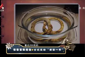 深藏海底800多年的沉船，竟没腐烂如同新的，打捞出文物四千多件视频封面