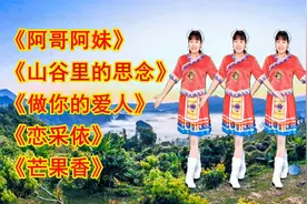 谢军经典《阿哥阿妹》《做你的爱人》《山谷里的思念》《芒果香》