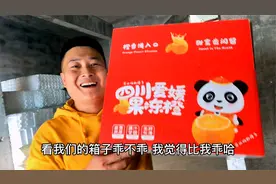 倩巴儿拉桌子去仓库，出门买果子忙到天黑，回家结果晚饭遭整脱视频封面