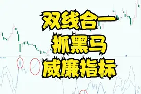 双线合一，抓黑马，威廉指标视频封面