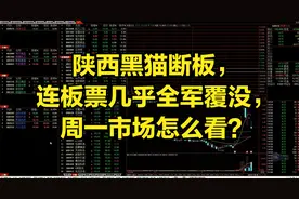 陕西黑猫断板，连板票几乎全军覆没，周一市场怎么看？视频封面