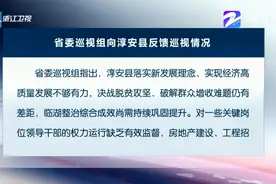 省委巡视组向杭州市临安区等5个县（区）反馈巡视情况视频封面