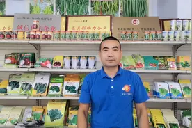 大葱什么时间种植最佳？什么时候采收行情好？听技术老师来分析！视频封面