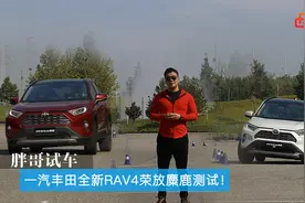胖哥试车 一汽丰田全新RAV4荣放麋鹿测试！视频封面