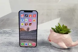 iPhone12屏幕检测方法泄露！这个屏幕型号最不容易绿屏！视频封面