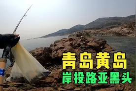 青岛黄岛东环岛路岸投路亚视频封面