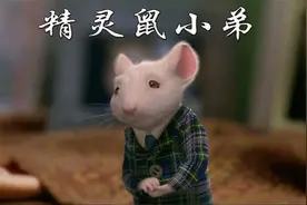 一只老鼠孤儿被一户人家领养并成功逆袭，活成了人们羡慕的样子