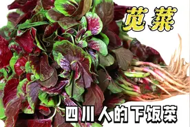 夏天最受欢迎的蔬菜“苋菜”，加个皮蛋，不炒不煮汤，下饭新吃法视频封面