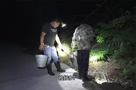 湖南湘北一个小山村，村民们天一黑都去抓蜈蚣，看看今天收获如何视频封面