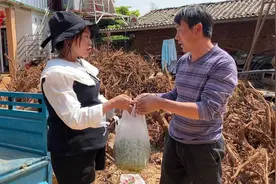 老公不在身边，媳妇怀孕挺着大肚子回娘家送礼，却遭娘家人的嫌弃视频封面