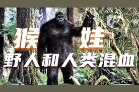 童年噩梦：揭秘神农架野人传说 野人与人类杂交的后代猴娃的秘密