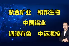 紫金矿业、中国铝业、和邦生物、铜陵有色、中远海控，客观解读视频封面