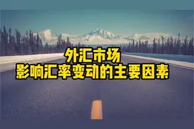 外汇市场影响汇率变动的主要因素视频封面