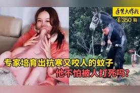 35个很不干人事的欠揍神人，培育出抗寒蚊子，还想靠被狗咬发财？