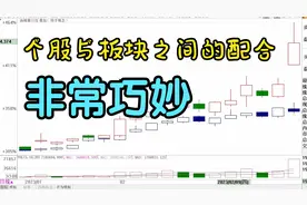 个股与板块之间的配合非常巧妙，有多巧妙？一看便知……视频封面