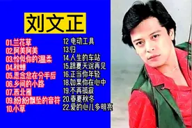 老歌精选：台湾歌坛白马王子刘文正经典歌曲精选20首大联唱
