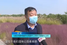 石家庄翠屏湿地公园：亲水景观 自然野趣 尽享秋季之美视频封面