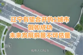 辽宁有望合并的2城市，假如成功，未来发展前景不可估量视频封面