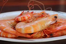 海边人教你盐水咸虾的做法，鲜甜可口原汁原味