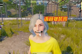 和平精英：语言行为不当，会被禁止语音聊天？神仙也解决不了！