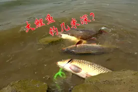 钓大鲤鱼，应该钓几米深？新手应该搞明白的基本问题
