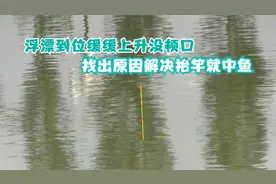 浮漂缓缓上顶没顿口不中鱼？罪魁祸首在这里，这样调整轻松解决！