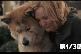狗狗苦等主人十年，只为接主人回家,看一次哭一次！！视频封面