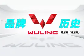 五菱你要干啥？宝骏品牌非要分成俩，一个当宝，一个长得俊？