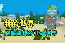 我的世界：刷鹦鹉螺的正确姿势！